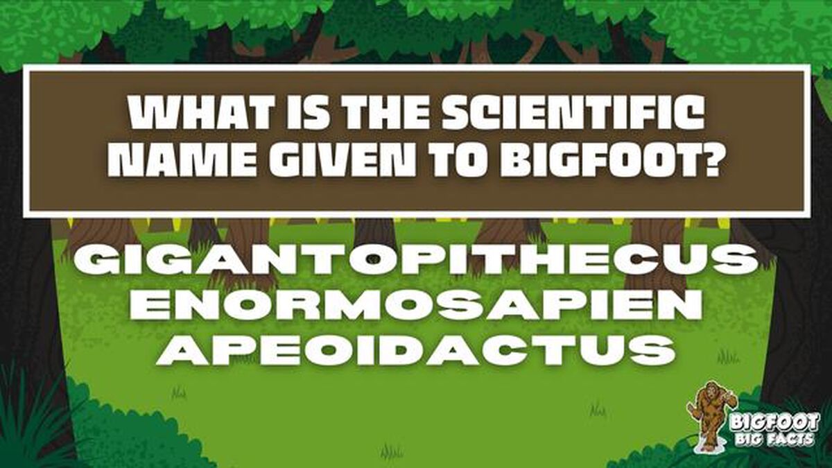 Bigfoot Big Facts image number 4